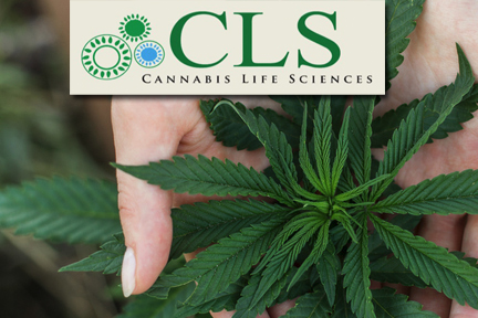 CLS Holdings USA Inc