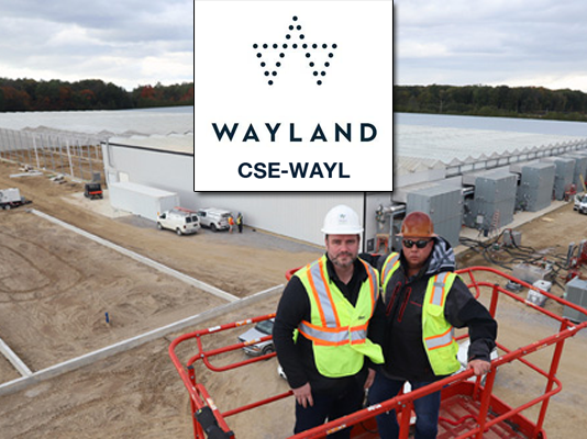 Wayland Group - CSE-WAYL